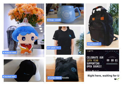 VeSoft swag you can get